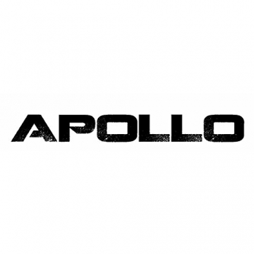 Apollo Longboard Achsen - New York | 2er Set Ersatzachsen, Trucks | Farbe: matt schwarz - 